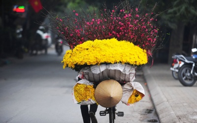 Chùm ảnh: Đào, quất ngập tràn phố xuân