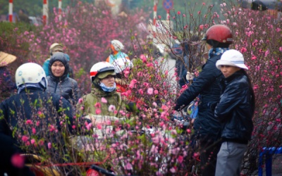 Dân Hà thành đi chợ phiên mua hoa sắm Tết