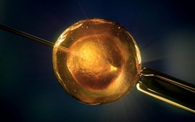 Đồng tính nam cũng có thể sinh con