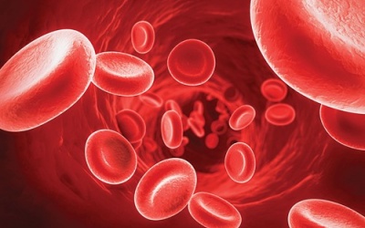 Dùng thuốc chống đông máu nên ăn uống như thế nào?