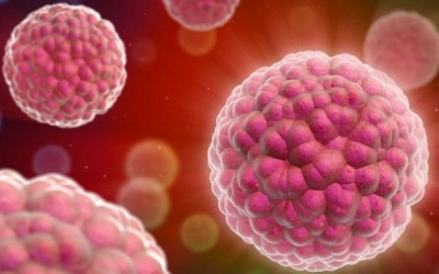 Xác định khối u bằng ADN