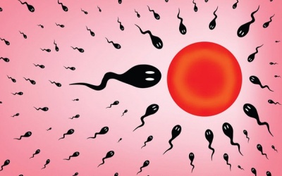 Infographic: Độ tuổi ảnh hưởng thế nào tới chuyện mang thai?