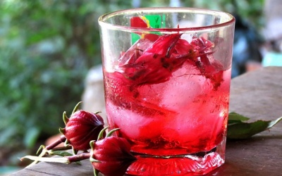 Phòng dị ứng thời tiết lúc giao mùa với siro hibiscus