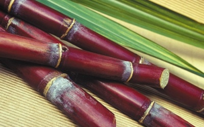 Những nhóm thực phẩm tốt cho người bị thiếu máu