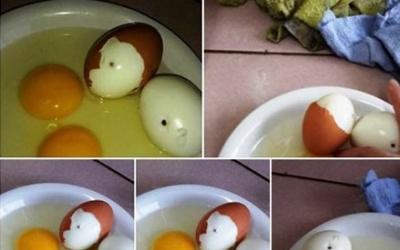 Sự thật về tin đồn trứng gà bị tiêm máu nhiễm HIV