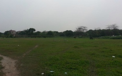 Người phụ nữ tử vong vì kéo co