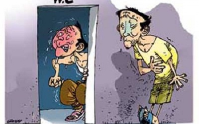 Táo bón thì ăn... món gì?