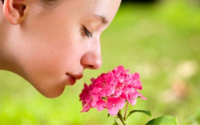 Nguyên nhân việc ngửi kém sau khi cảm cúm?