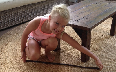 Lạ: Giun đất to như rắn chui vào nhà dân