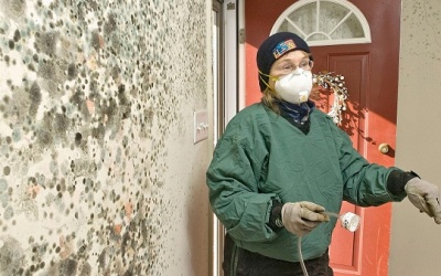 Đánh bay ẩm mốc trong nhà với những bí kíp đơn giản