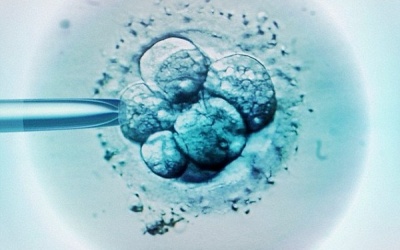 IVF: Hy vọng mới cho những cặp vợ chồng vô sinh