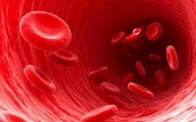 Thuốc chống sốt rét kháng thuốc