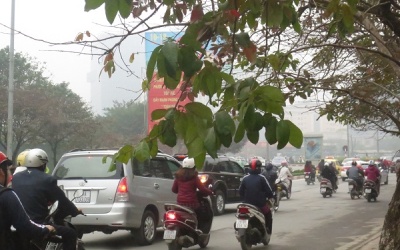 Thời tiết 16/3: Bắc Bộ hết mưa phùn