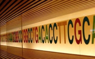 Gene người có hoàn toàn do tổ tiên truyền lại?