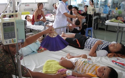 Cần Thơ ghi nhận 118 ca sốt xuất huyết