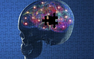 Con 'amip' nào đang 'ăn' não của bạn?