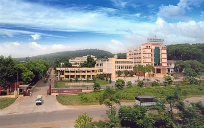 ĐH Lâm Nghiệp cấm cán bộ, viên chức phát ngôn về cây xanh?