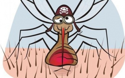 5 lý do khiến bạn trở thành 'mồi ngon' của muỗi