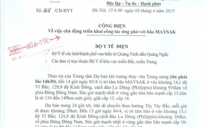 Bộ Y tế yêu cầu chủ động ứng phó với bão Maysak