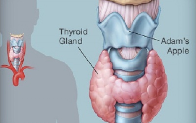 'Giải cứu' tuyến giáp: Cách nào?