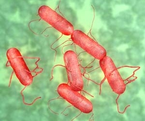 Vì sao rửa thớt bằng tay thì bị 'sâu'?