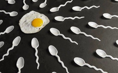 Video: Rượu sẽ 'giết chết' tinh trùng của nam giới!