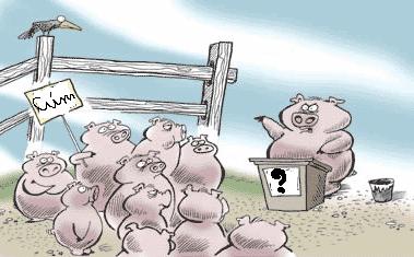 Video: 10 sự thật về bệnh cúm lợn (cúm A/H1N1)