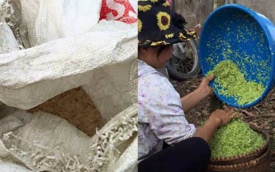 Bộ Y tế vào cuộc vụ sử dụng hóa chất không đảm bảo để nhuộm cốm