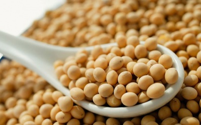 Phòng tránh ung thư vú hiệu quả bằng đậu nành