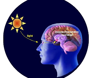 Melatonin và giấc ngủ