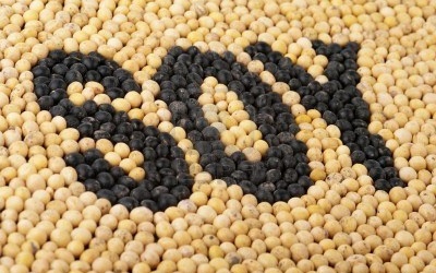 Đậu nành - lành mà quý