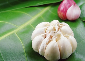 Các loại thực phẩm chức năng thiên nhiên