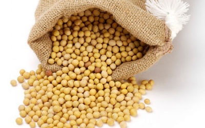 Đậu tương - món ăn, bài thuốc cho bệnh nhân đột quỵ não