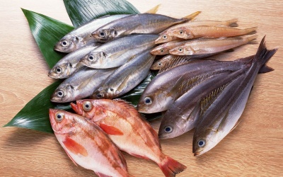 Ăn cá giúp trẻ cải thiện việc học