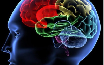 Não nhớ, não quên...