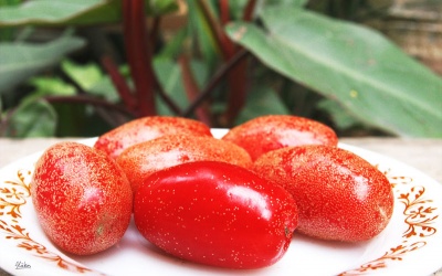 Quả nhót - chát chua hữu ích