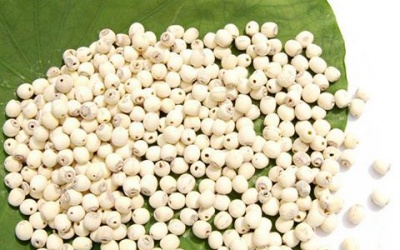 'Xử' trào ngược dạ dày - thực quản theo Đông y