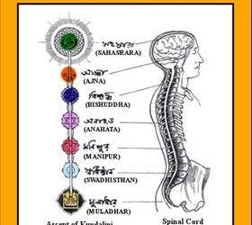 Biểu hiện của các trung tâm luân xa