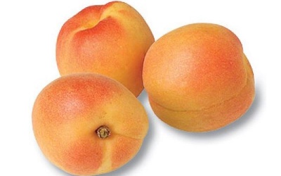 Mai tử: trừ giun, kháng khuẩn, giải nhiệt