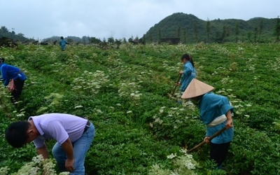 Tù mù chất lượng