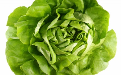 Xà lách - 'báu vật phòng the' của người Ai Cập