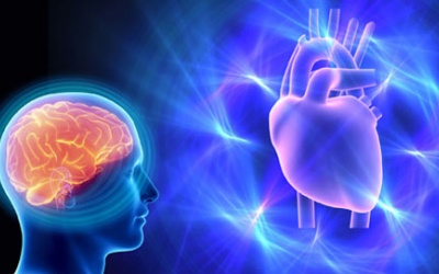 Trái tim cũng có trí thông minh?