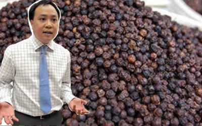 'Vua hồ tiêu' Việt Nam: 'Đục tường' để bước ra thế giới