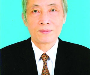 Curcumin - 'tinh chất vàng' còn bị lãng phí