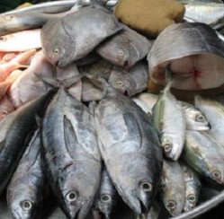 'Công nghệ' giữ hải sản tươi bằng hóa chất