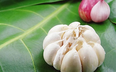 Rượu tỏi chữa bách bệnh
