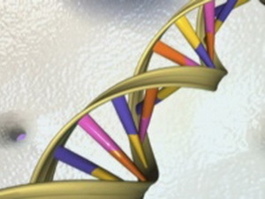 Mỹ công bố cơ sở dữ liệu gen lớn nhất về ung thư