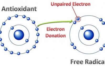 4 ích lợi hỗ trợ điều trị của Glutathion
