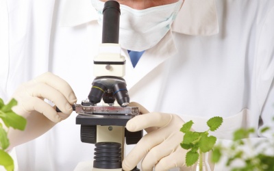 Gốc tự do và các chất chống oxy hóa - những điều cần biết