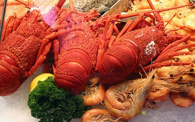 Mẹo chống ngộ độc hải sản